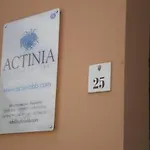 Actinia Pensión Alguer