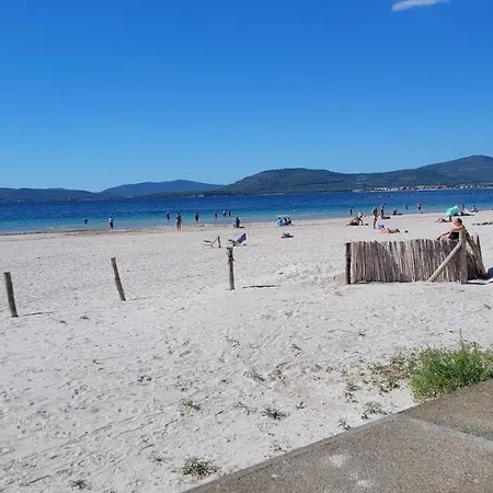 海葵酒店