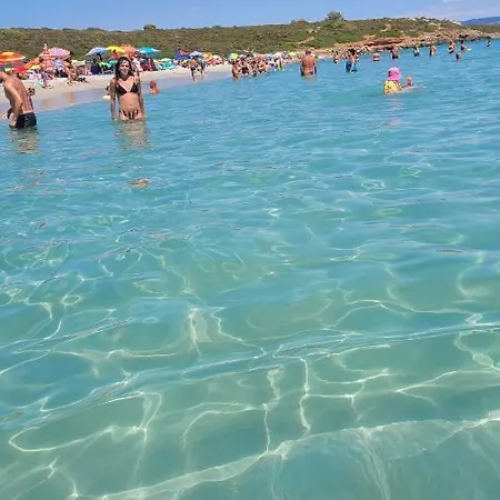 Πανσιόν Actinia 3*