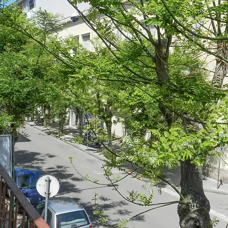 Actinia Αλγκέρο