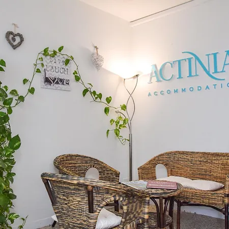 בית הארחה Actinia 3*