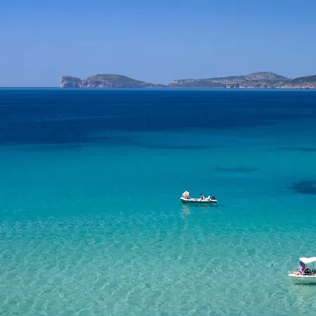 Actinia Αλγκέρο