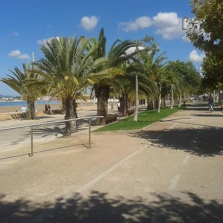 Actinia אלגהרו
