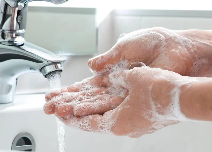 Affittacamere Actinia