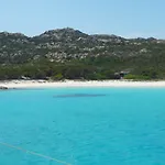 Actinia Alghero
