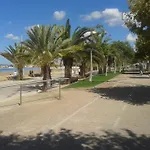 Actinia Alghero