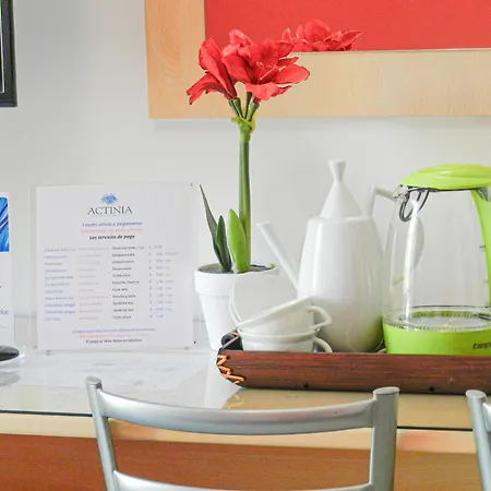 Actinia Pensión Alguer