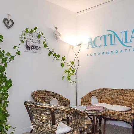 Casa de hóspedes Actinia *