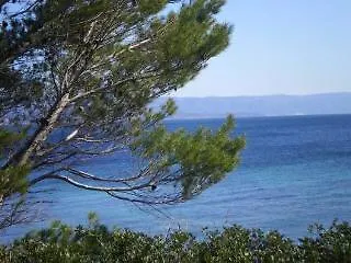 Actinia Guest house *