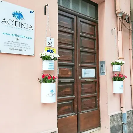 Actinia Maison d'hôtes